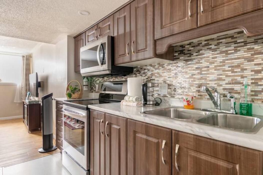 Self Check-In Spacious Apartment With Full Kitchen Ottawa Dış mekan fotoğraf